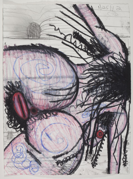 Untitled (1/25/12), Watercolor crayon, colored pencil and pencil on paper