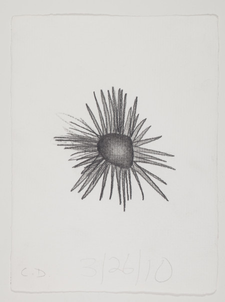 Untitled (5/26/10), Pencil on paper