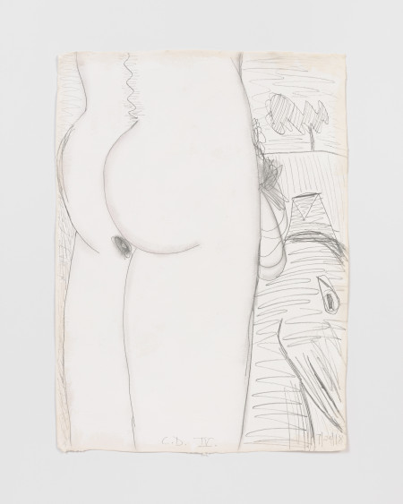 White Male With Dog IV, Casein and graphite on paper