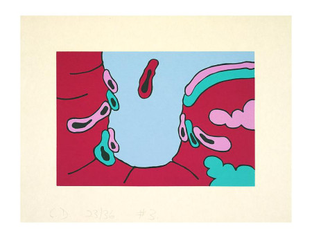 Places and Things, Portfolio of five linoleum cuts on kozo misumi paper, boxed